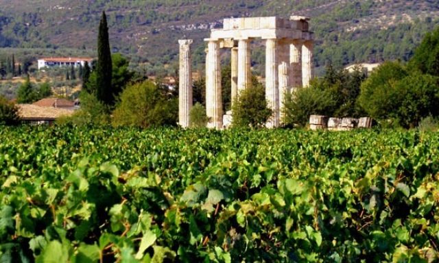 Organic Vineyards Papaioannou