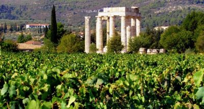 Organic Vineyards Papaioannou