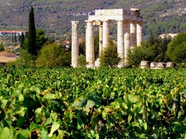 Organic Vineyards Papaioannou